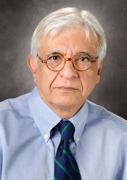 Professor Adel K. El-Naggar