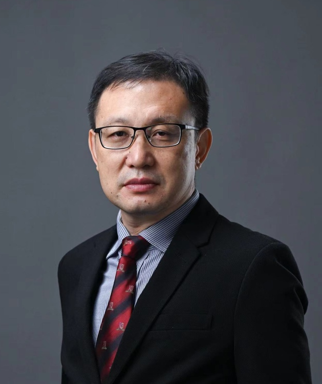 Professor Qi Zhao